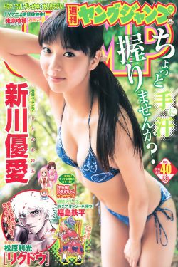 美国派2